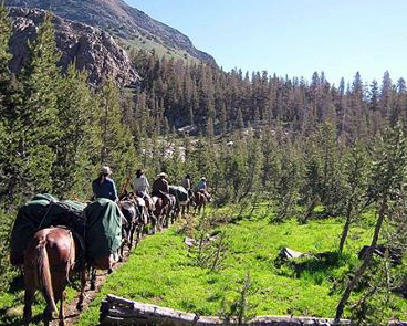 Wranglers Pack Train